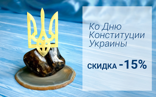 Акция ко Дню Конституции Украины