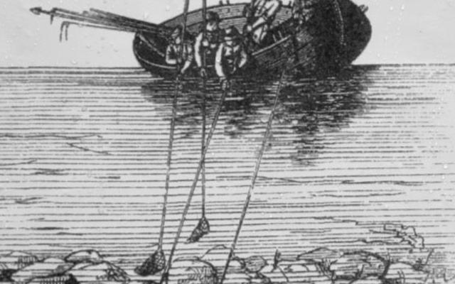 Добыча янтаря