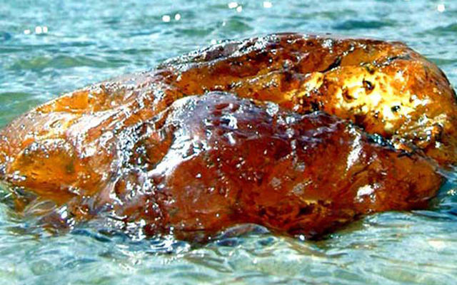 16 невідомих фактів про бурштин