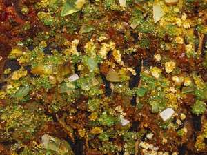 Пейзаж «Золотая осень»