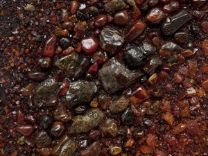 Панно «Белые тигры»