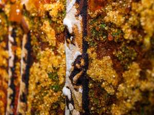 Пейзаж «Осінній ліс»