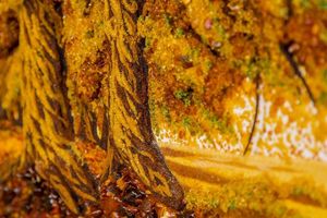 Пейзаж /Картины   