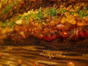 Картина из янтаря Лебеди на пруду