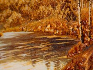 Пейзаж «Река и лес»