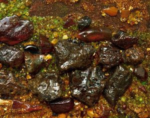 Пейзаж «Тропинка в лесу»