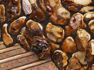 Пейзаж «Сад»