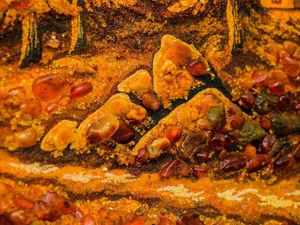 Пейзаж «Лесной пейзаж»