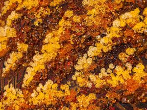 Пейзаж «Закат»