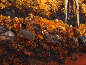 Картина из янтаря «Березовая роща и река»