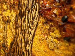 Пейзаж «В парке»