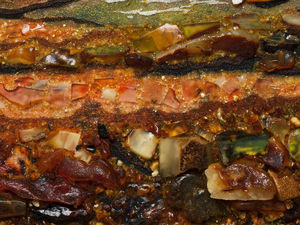 Пейзаж «Сільський дворик»