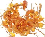 Янтарный браслет «Травка»