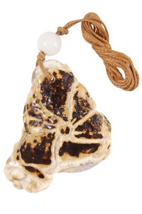 Кулон из янтаря «Лотос и рыбки»