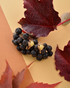 Сережки срібні з позолотою «Жабки»