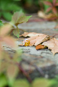 Серебряный кулон с янтарем «Гаяна»