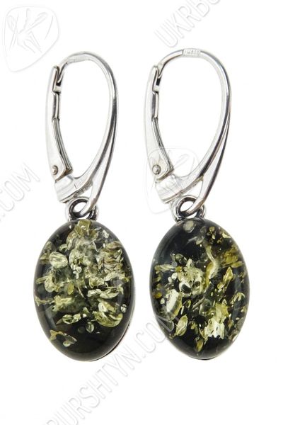 Сережки в срібній оправі «Рева»