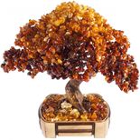 Дерево Бонсай