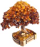 Дерево Бонсай