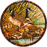 «Дикие утки с утятами»