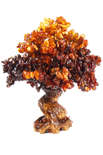 Бурштинове дерево-бонсай