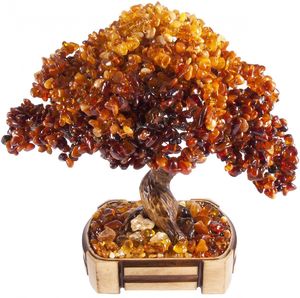 Дерево Бонсай