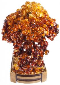 Дерево Бонсай