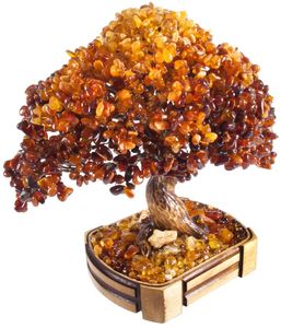 Дерево Бонсай