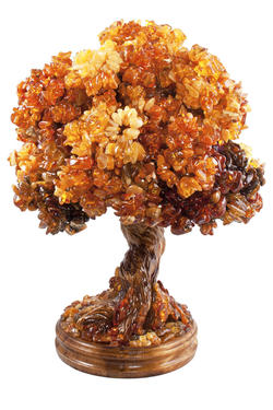 Бурштинове дерево-бонсай