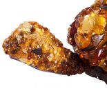 Шкатулка «Черепаха» інкрустована бурштином