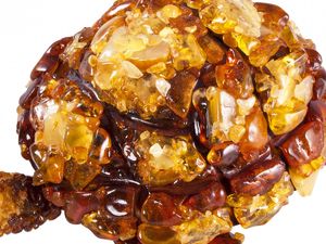 Шкатулка «Черепаха» інкрустована бурштином